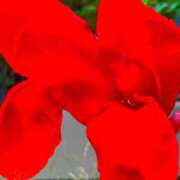 ヒメ日記 2025/07/23 11:28 投稿 愛田いずみ 恋する奥さん 西中島店