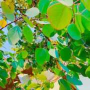 ヒメ日記 2025/08/05 11:28 投稿 愛田いずみ 恋する奥さん 西中島店