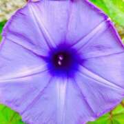 ヒメ日記 2025/08/24 09:57 投稿 愛田いずみ 恋する奥さん 西中島店