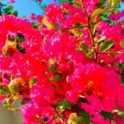 ヒメ日記 2025/09/03 21:20 投稿 愛田いずみ 恋する奥さん 西中島店