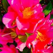 ヒメ日記 2025/09/07 10:25 投稿 愛田いずみ 恋する奥さん 西中島店