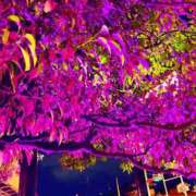 ヒメ日記 2025/09/21 22:13 投稿 愛田いずみ 恋する奥さん 西中島店