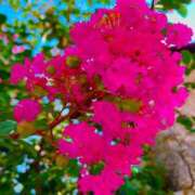 ヒメ日記 2025/09/29 13:42 投稿 愛田いずみ 恋する奥さん 西中島店