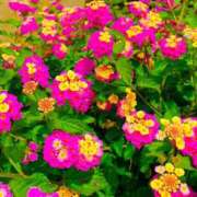 ヒメ日記 2025/10/04 10:08 投稿 愛田いずみ 恋する奥さん 西中島店