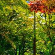 ヒメ日記 2025/10/06 00:50 投稿 愛田いずみ 恋する奥さん 西中島店