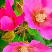 ヒメ日記 2025/10/26 10:01 投稿 愛田いずみ 恋する奥さん 西中島店