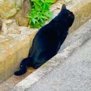 ヒメ日記 2025/10/28 16:54 投稿 愛田いずみ 恋する奥さん 西中島店