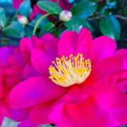 愛田いずみ ☺︎ 恋する奥さん 西中島店