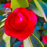 愛田いずみ ☺︎ 恋する奥さん 西中島店