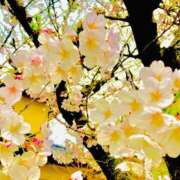 ヒメ日記 2026/04/08 15:03 投稿 愛田いずみ 恋する奥さん 西中島店