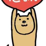 ヒメ日記 2025/06/13 00:23 投稿 恋の浜りせ THE痴漢電車.com