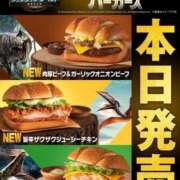 ヒメ日記 2025/06/18 13:23 投稿 恋の浜りせ THE痴漢電車.com