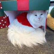 ヒメ日記 2026/03/02 15:23 投稿 恋の浜りせ THE痴漢電車.com