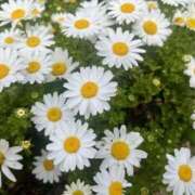 ヒメ日記 2025/07/08 11:44 投稿 えま 地元女子が勢揃い 宇都宮ガールズ