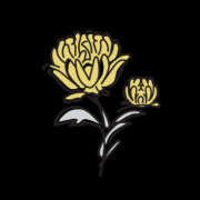 ヒメ日記 2025/08/11 19:34 投稿 えま 地元女子が勢揃い 宇都宮ガールズ