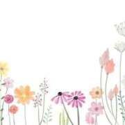 ヒメ日記 2025/08/31 15:34 投稿 えま 地元女子が勢揃い 宇都宮ガールズ