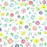 ヒメ日記 2025/09/17 15:34 投稿 えま 地元女子が勢揃い 宇都宮ガールズ