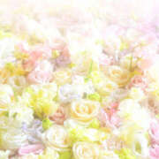 ヒメ日記 2025/09/19 23:54 投稿 えま 地元女子が勢揃い 宇都宮ガールズ