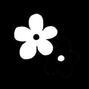 ヒメ日記 2025/09/28 00:54 投稿 えま 地元女子が勢揃い 宇都宮ガールズ