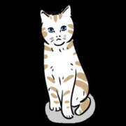 ヒメ日記 2025/10/17 16:34 投稿 えま 地元女子が勢揃い 宇都宮ガールズ