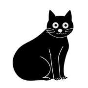 ヒメ日記 2025/11/12 21:34 投稿 えま 地元女子が勢揃い 宇都宮ガールズ