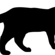 ヒメ日記 2025/11/26 13:44 投稿 えま 地元女子が勢揃い 宇都宮ガールズ