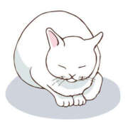 ヒメ日記 2025/12/01 17:14 投稿 えま 地元女子が勢揃い 宇都宮ガールズ