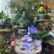 ヒメ日記 2025/06/27 08:01 投稿 みなよ 熟女家 十三店