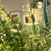 ヒメ日記 2025/08/05 09:22 投稿 みなよ 熟女家 十三店