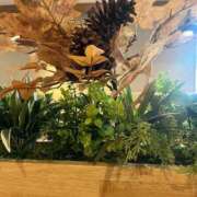 みなよ ありがとうございました 熟女家 十三店