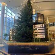 みなよ おはようございます 熟女家 十三店