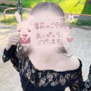 ヒメ日記 2025/08/03 16:50 投稿 えれな 大阪はまちゃん日本橋店