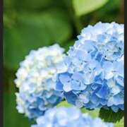 ヒメ日記 2025/06/14 23:31 投稿 星奈（ホシナ） アバンチュール(五反田)