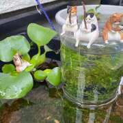 ヒメ日記 2025/07/10 17:01 投稿 星奈（ホシナ） アバンチュール(五反田)