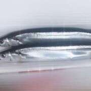 ヒメ日記 2025/08/28 19:01 投稿 星奈（ホシナ） アバンチュール(五反田)