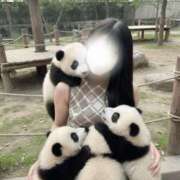 ヒメ日記 2025/11/13 11:01 投稿 星奈（ホシナ） アバンチュール(五反田)