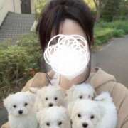 ヒメ日記 2025/12/13 09:01 投稿 星奈（ホシナ） アバンチュール(五反田)