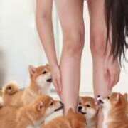 ヒメ日記 2025/12/30 18:01 投稿 星奈（ホシナ） アバンチュール(五反田)