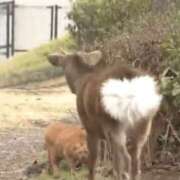 ヒメ日記 2026/03/19 09:16 投稿 星奈（ホシナ） アバンチュール(五反田)