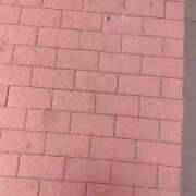 ヒメ日記 2026/03/20 23:01 投稿 星奈(ホシナ) アバンチュール(五反田)