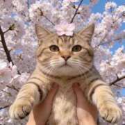 ヒメ日記 2026/04/02 09:01 投稿 星奈（ホシナ） アバンチュール(五反田)