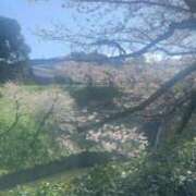 ヒメ日記 2026/04/02 22:16 投稿 星奈（ホシナ） アバンチュール(五反田)