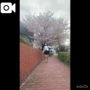 ヒメ日記 2026/04/07 12:16 投稿 星奈（ホシナ） アバンチュール(五反田)