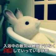 ヒメ日記 2026/07/11 23:46 投稿 星奈（ホシナ） アバンチュール(五反田)