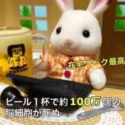ヒメ日記 2026/08/20 21:16 投稿 星奈（ホシナ） アバンチュール(五反田)