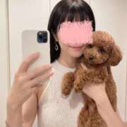 ヒメ日記 2026/08/21 10:31 投稿 星奈（ホシナ） アバンチュール(五反田)