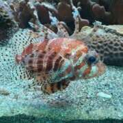 ヒメ日記 2025/11/08 09:52 投稿 渚(なぎさ) DIVA-ディーバ-【DIVAグループ】