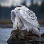 ヒメ日記 2025/07/06 22:18 投稿 みさえ 熟女の風俗最終章 沼津店