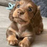 ヒメ日記 2025/08/10 00:28 投稿 みさえ 熟女の風俗最終章 沼津店