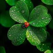 ヒメ日記 2026/02/18 15:58 投稿 みさえ 熟女の風俗最終章 沼津店